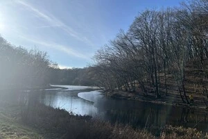 У Києві завтра очікується потепління до +2 градусів
