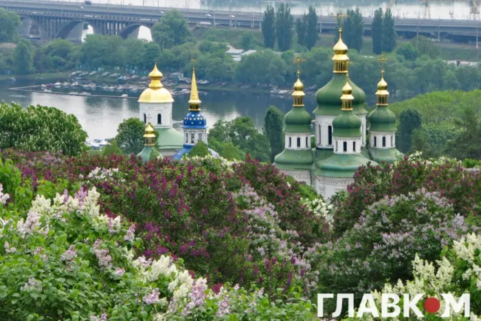 Землю ботанічного саду в Києві передано під житлову забудову попри заборону