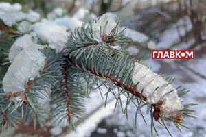 19 січня у більшості регіонів України очікуються невеликі опади у вигляді мокрого снігу та дощу