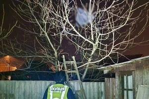 Постраждалих серед населення немає