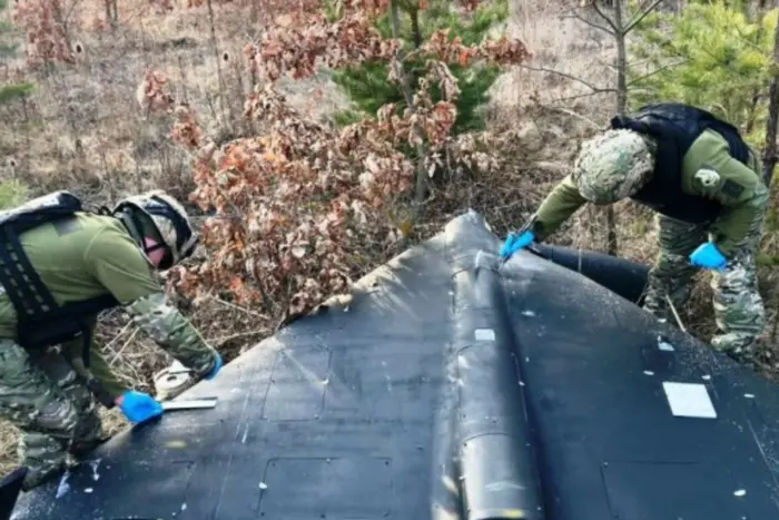 На Херсонщині під час розмінування дрона загинули два вибухотехніки