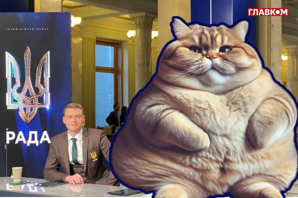 «Кіт», якого розгодувала «Рада». Хто заробить на телемарафоні у 2025 році?