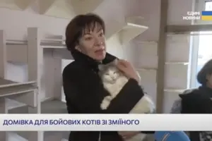 Дружина Героя України, який поліг в бою за Зміїний, прихистила евакуйованого кота з острова