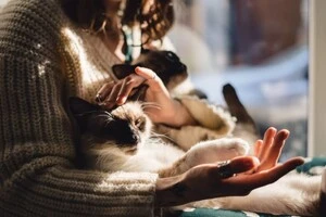 Жінка втратила роботу через домашнього улюбленця