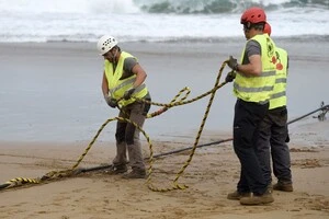 У Балтійському морі виявили ще один пошкоджений підводний кабель 