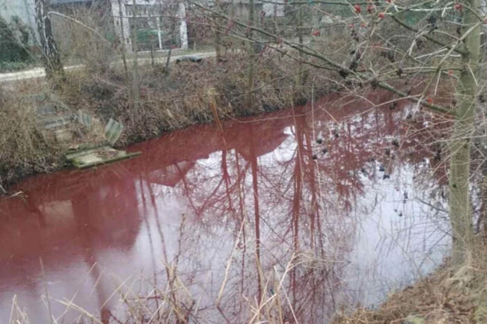 Вода набула яскраво-рожевого кольору: під Києвом зафіксовано серйозне забруднення водойми (фото)