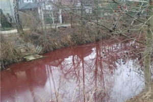 Забруднена водойма у селі Романків