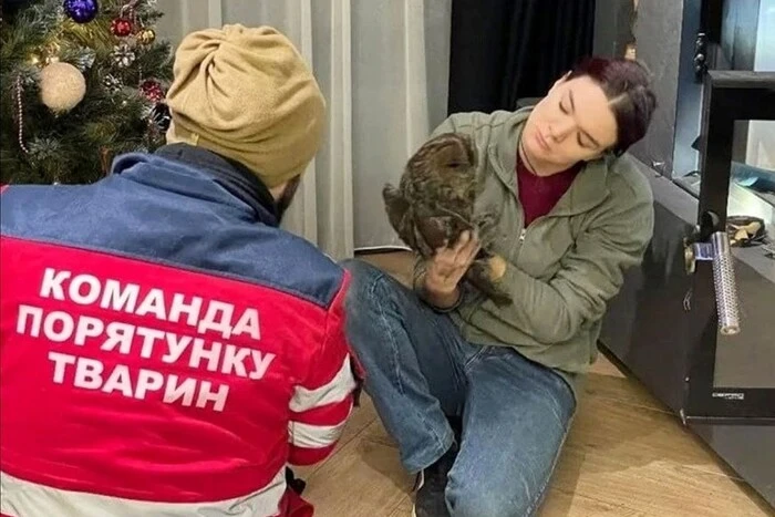 У Дмитрівці сова залетіла у камін приватного будинку (фото)