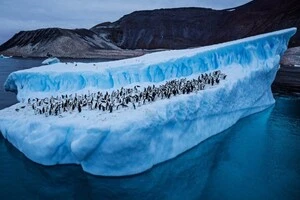 На Землі стрімко піднімається один із континентів