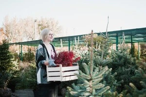 Лютий – це час, коли садівники та городники починають підготовку до весняного сезону