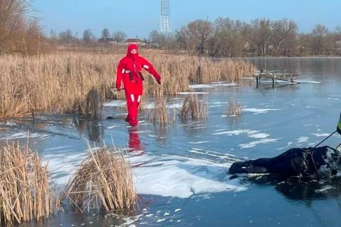 У ставку на Білоцерківщині рятувальники виявили тіло літнього чоловіка