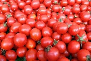 Ціни на імпортні помідори в Україні все ще на 10% вищі, ніж у цей же період минулого року