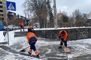 Двори та прибудинкові території обробляють понад три тисячі працівників керуючих компаній