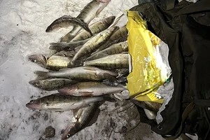 У Вишгородському районі інспектори виявили рибалку, який завдав збитків рибному господарству України на понад 170 тис. грн 