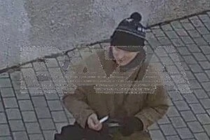 В окупованому Криму турист «відправив у політ» із «Ластівчиного гнізда» місцеву кішку 