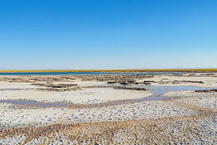 Доктор геологічних наук пояснив, чому Трампу не треба розраховувати на український літій