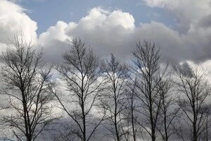 У Києві очікується невелика хмарність 