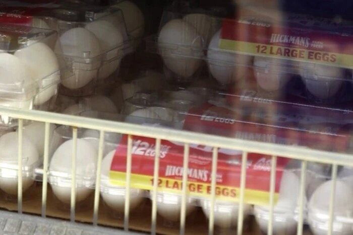 Дефіцит яєць у США схвилював Трампа: на які заходи піде влада