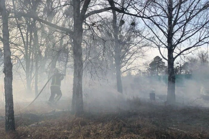 Уламки дронів спричинили пожежі у двох районах Київщини