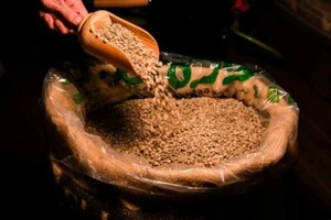 Масштабні крадіжки кавових зерен стають звичною справою для США