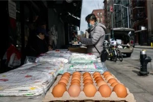 Фінляндія відмовилася постачати США курячі яйця