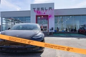 За скоєне арештовано двох молодиків ​​