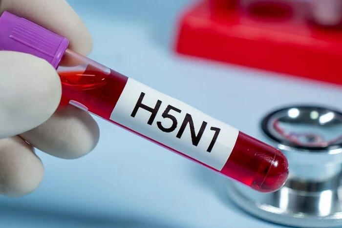 Стало відомо, який вірус може викликати нову пандемію