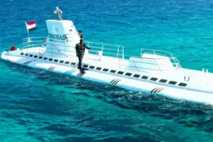 У Червоному морі затонув туристичний батискаф, серед загиблих є росіяни 