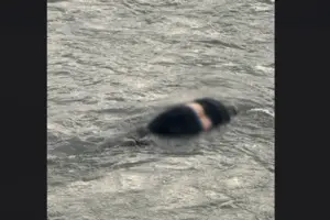 Тіло знайшли за 30 метрів від українського кордону