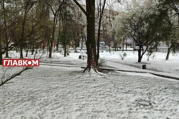 Захід України засипало снігом. «Зимова казка» у квітні (фото, відео)