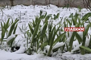 Засніжений Львів 6 квітня 