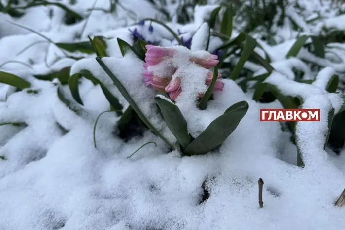 Казкова зима у квітні: Україну засипало снігом (фото, відео)
