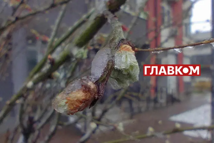 В Україні мокрий сніг: погода на 11 квітня