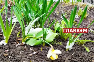 11 квітня у столиці був зафіксований рекорд найнижчої мінімальної температури повітря – мінус 4,1°С 