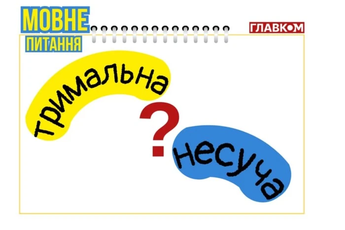 Чи може бути стіна несучою? Мовознавиця пояснила, як правильно вживати відомий будівельний термін