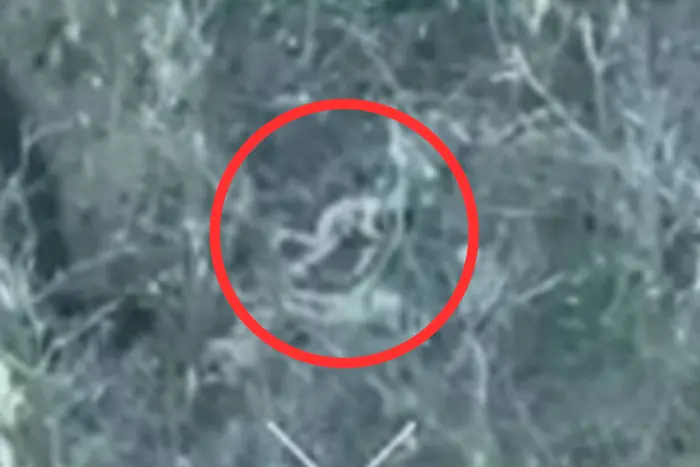 На Донеччині окупанти розстріляли полоненого захисника