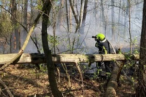 У Святошинському районі ліквідовано масштабне загоряння трав'яного настилу 