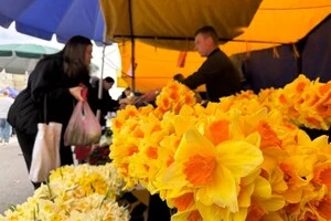 Для придбання свіжих продуктів також можна відвідати комунальні ринки 