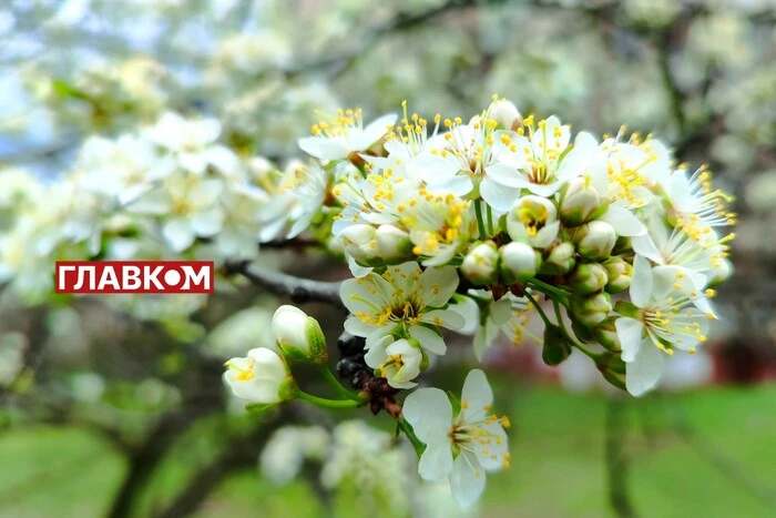 В Україні мінлива хмарність: погода на 22 квітня