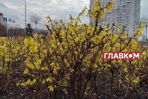 У Києві хмарно з проясненнями, вночі короткочасний дощ, вдень без опадів