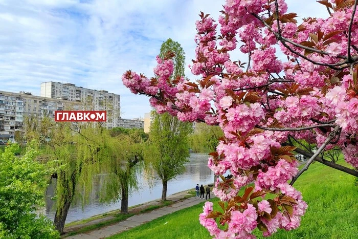 Мінлива хмарність та без суттєвих опадів: прогноз погоди на 29 квітня