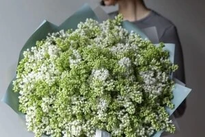 У Києві букет білого бузку продається за неймовірною ціною