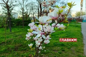В Україні очікується до +22°: погода на 30 квітня