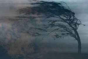 У столиці очікуються пориви вітру, синоптики оголосили І рівень небезпеки