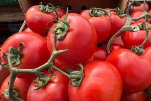 У суботу ярмарки відбудуться у восьми районах столиці