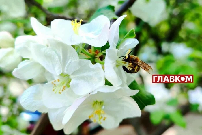 В Україні хмарно: прогноз погоди на 6 травня