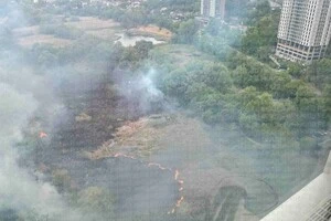 Загоряння очерету сталось на відкритій території Совських ставків 