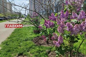 У Києві хмарно з проясненнями, дощ