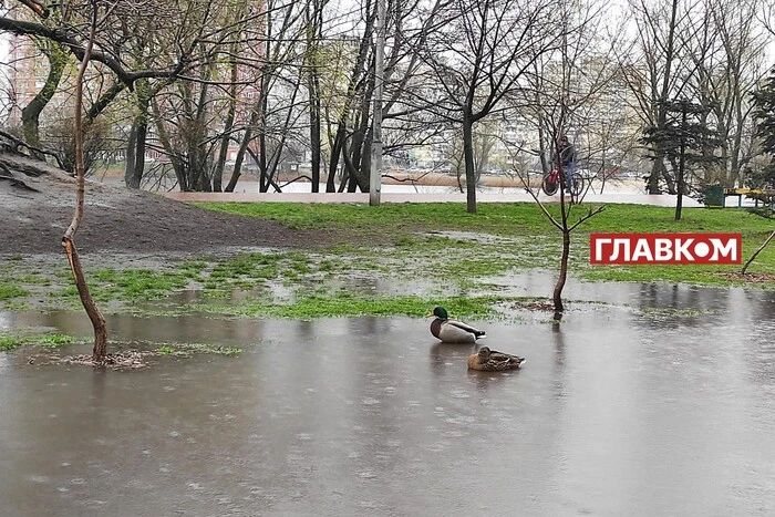 В Україні очікуються дощі: прогноз погоди на 12 травня