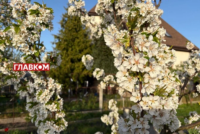 Заморозки знищили частину урожаю. На які фрукти ціни зростуть найбільше